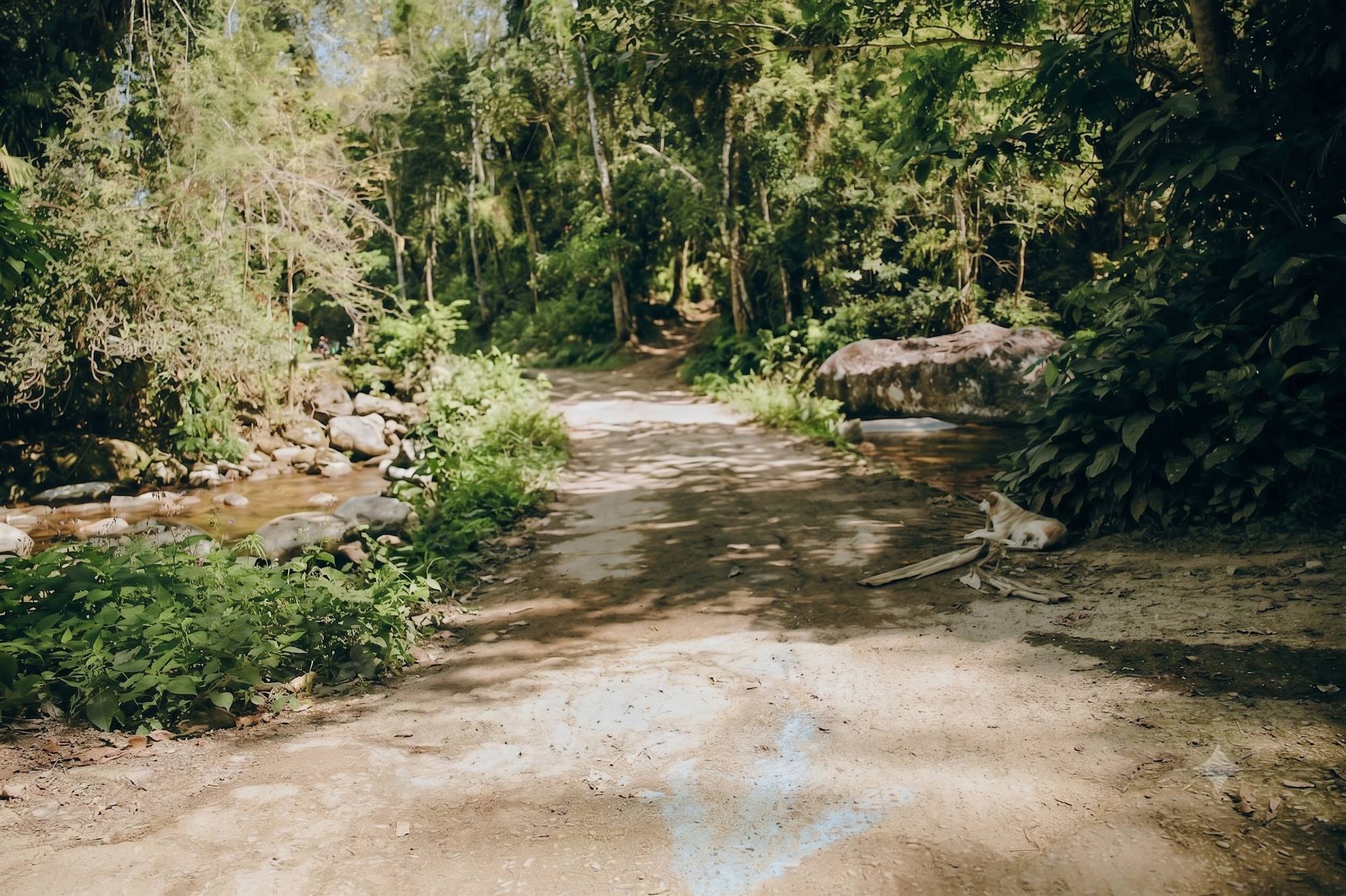 Paisagem da Paraty Brazil by UTMB PTR 17 2026