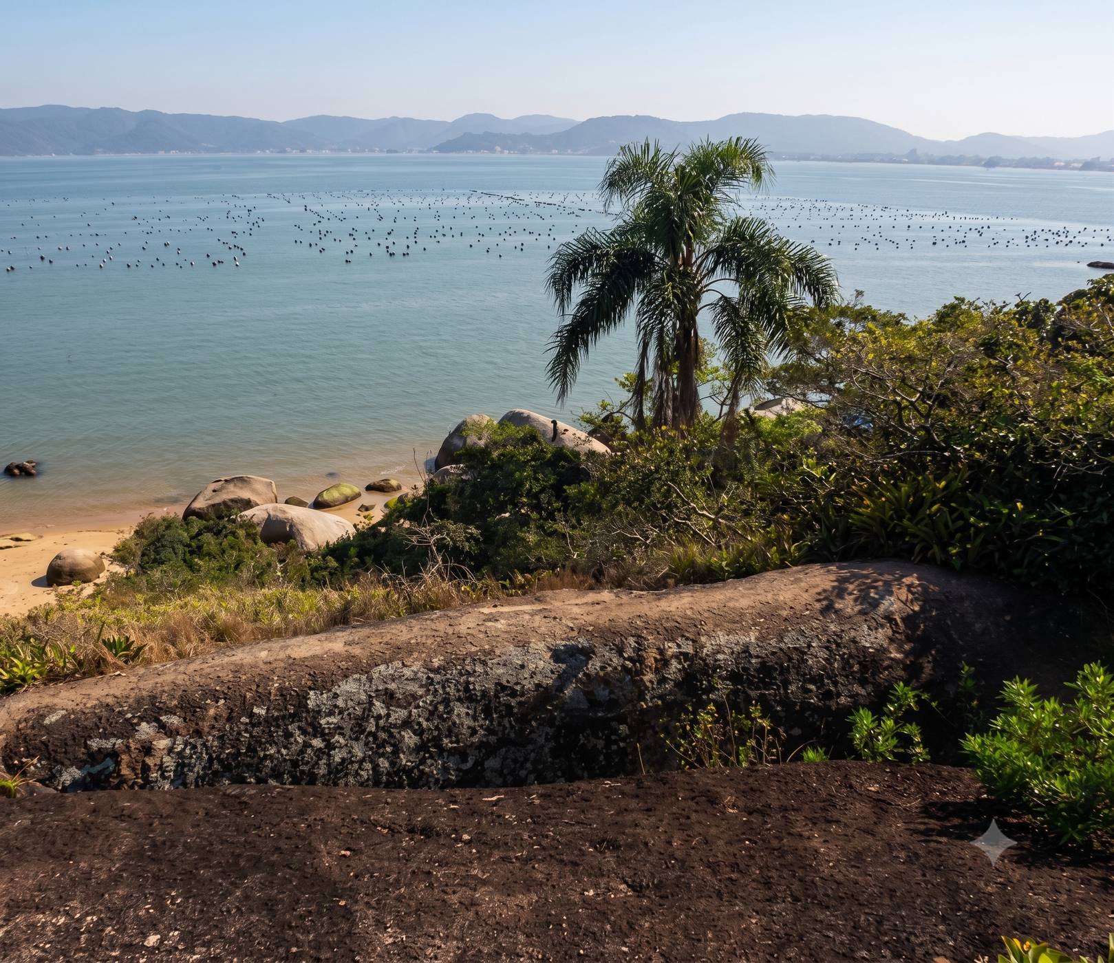 Paisagem da INDOMIT Columbia Bombinhas 5K 2026